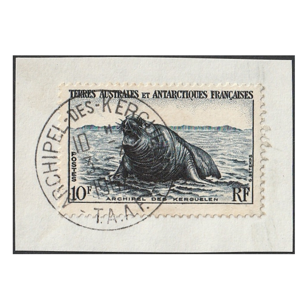 French Southern and Antarctic Territories - 1956 10F (SG10)