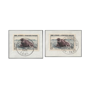 French Southern and Antarctic Territories - 1956 15F (SG12)